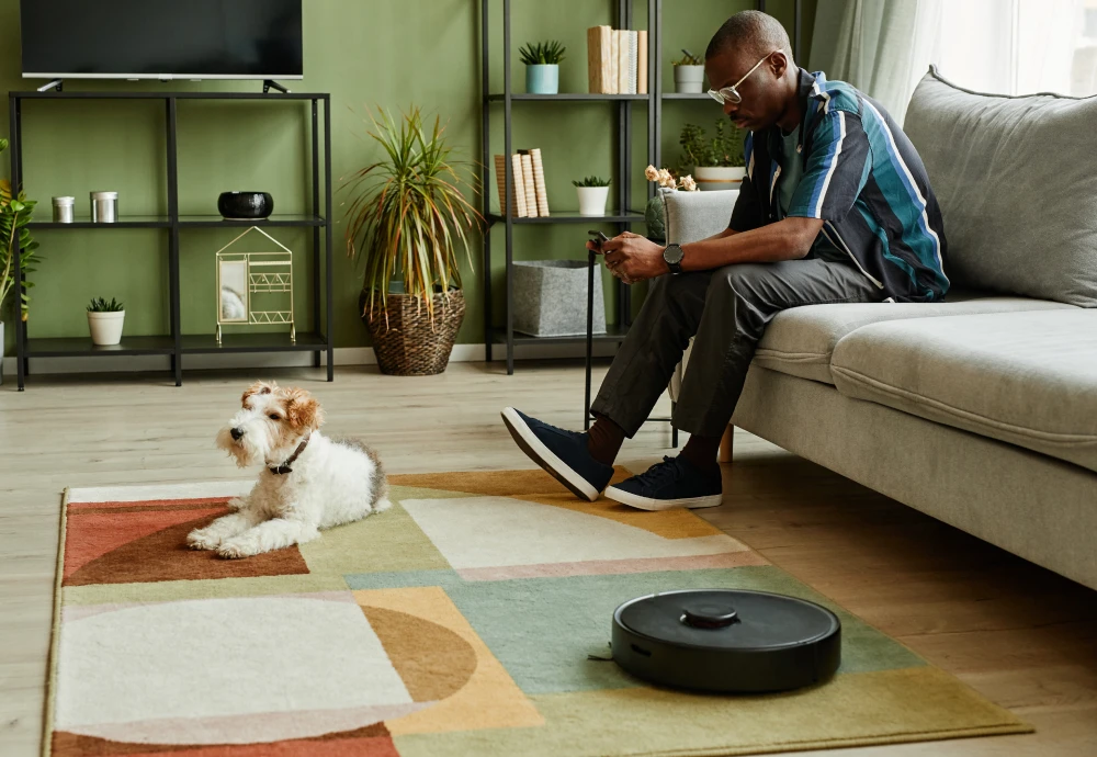 the robot vacuum cleaner